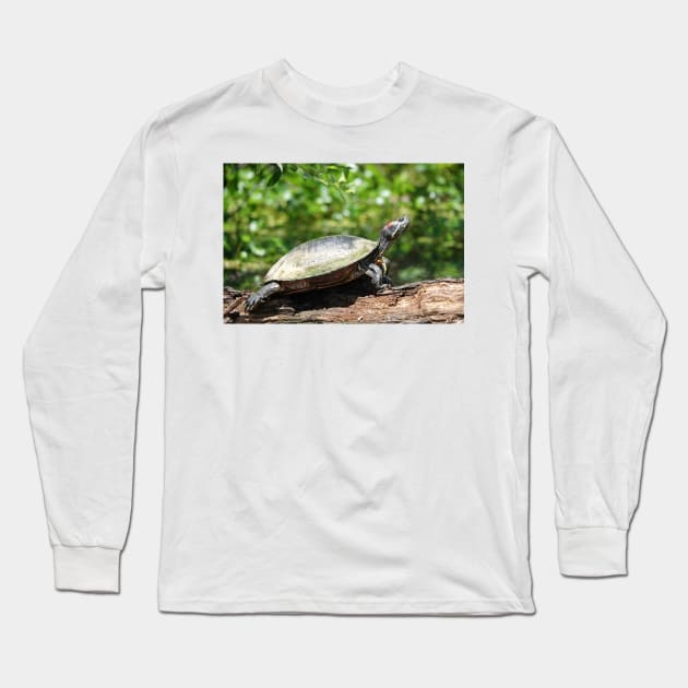 Red-eared slider (Trachemys scripta elegans) Long Sleeve T-Shirt by SDym Photography